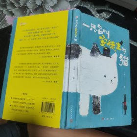 一只名叫安徒生的猫（著名儿童文学评论家朱自强撰文近八千字重磅推荐！赋予童诗一个安徒生的灵魂！践行儿童诗歌教育，用童诗激发孩子对话和思考的能力）