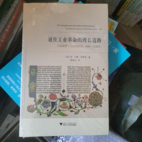 通往工业革命的漫长道路：全球视野下的欧洲经济，1000—1800年