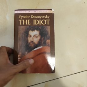 TheIdiot[白痴]