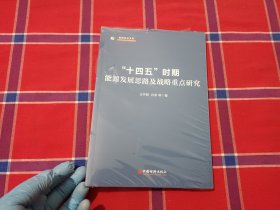 “十四五”时期能源发展思路及战略重点研究