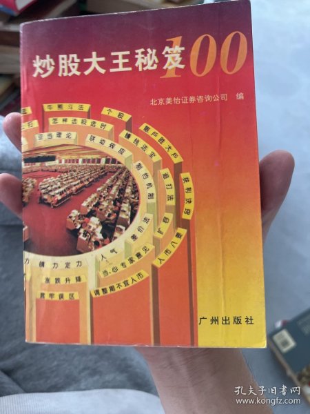 炒股大王秘笈100