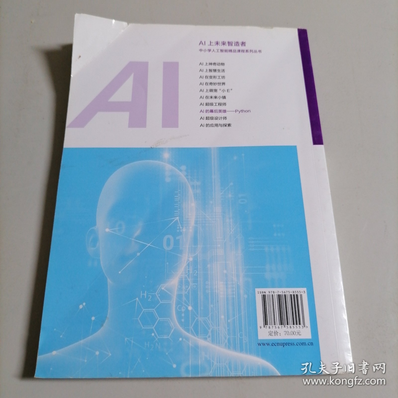 AI的幕后英雄：Python中小学人工智能精品课程系列丛书