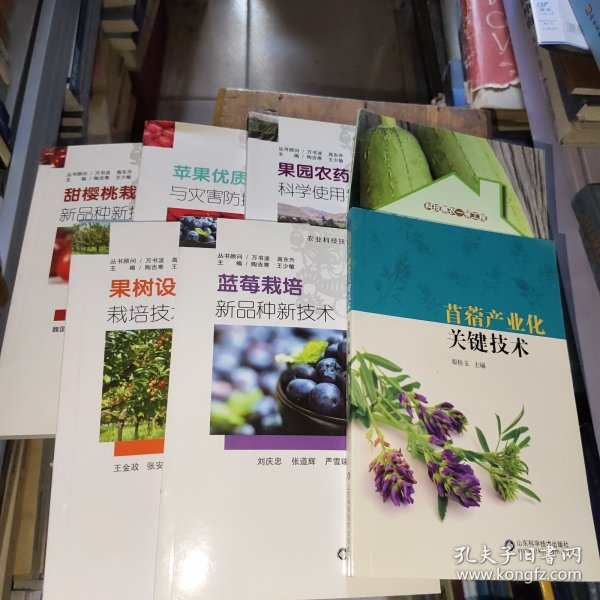 蓝莓栽培新品种新技术