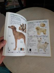 名犬：全世界300多种名犬的彩色图鉴