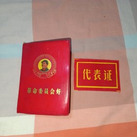 革命委员会好