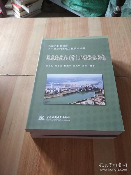 长江水利委员会大中型水利水电工程技术丛书：坝基软弱层（带）工程地质研究