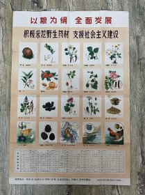 70年代药材收购广告