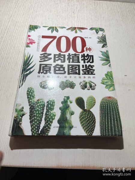 700种多肉植物原色图鉴