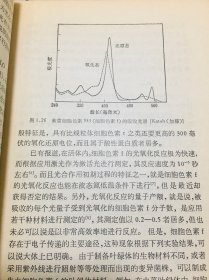 植物生理学讲座 全五卷