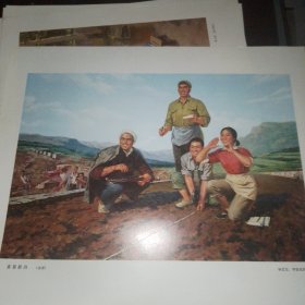 喜量新田 （杨受安油画作品）