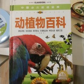 门式起重机安装拆卸工