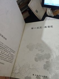举一反三：画菊花