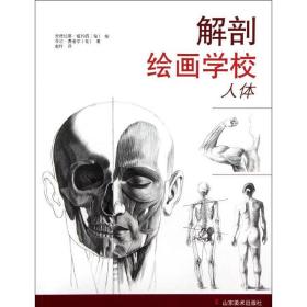 解剖绘画学校:人体 美术技法 (匈)安德拉斯·祖约西绘 新华正版