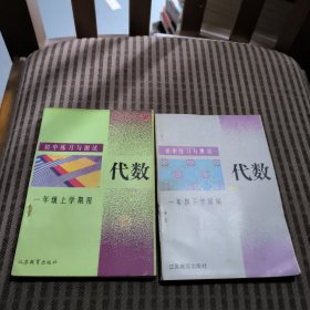 初中练习与测试·代数（一年级上下学期用）(2本合售)