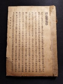 民国时期武侠小说 铁血莺花 初集上册