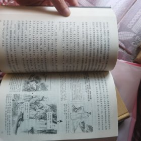 知行合一：王阳明心学（升级图解版）