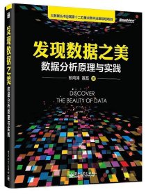 发现数据之美：数据分析原理与实践彭鸿涛|聂磊