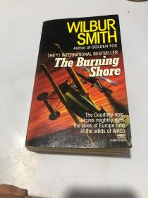 THE  BURNING  SHORE