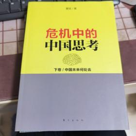 危机中的中国思考(下卷):中国未来何处去