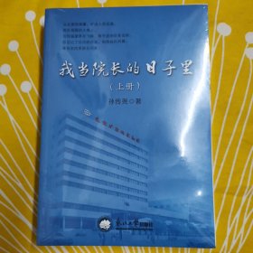 我当院长的日子里