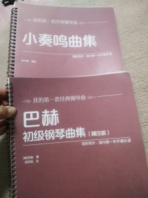 我的第一套经典钢琴曲(巴赫初级钢琴曲集)+(小奏鸣曲集)二册合售