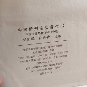 中国新刑法实务全书