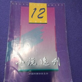 小说选刊 1996年12期