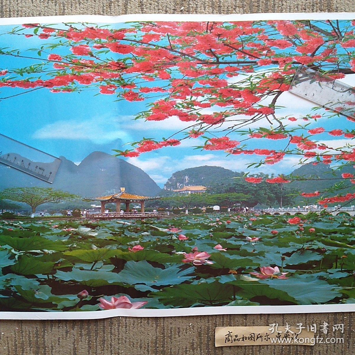 荷花桃花相映红（年画挂画装饰画客厅画尺寸：109x39.3cm）