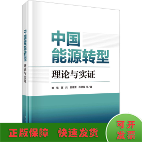 中国能源转型 理论与实证