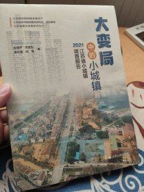 大变局中的小城镇：2021江苏省小城镇调查报告