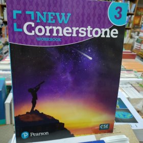New Cornerstone Grade 3 workbook 英文原版 美国ESL
