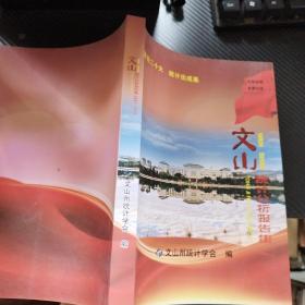 文山统计分析报告集