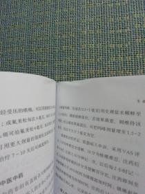 优逝：全人、全程、全家临终关怀方案