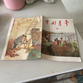 老杂志 中国青年 1964 10期封面