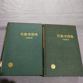 代数学词典 —问题解法 上下册