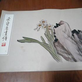 荣宝斋画谱：写意花卉部分