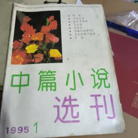 中篇小说选刊（文学双月刊）1995年第1期