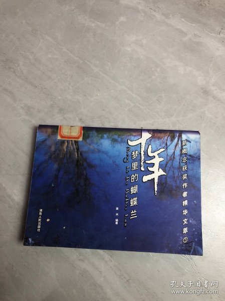 十年：梦里的蝴蝶兰/新概念获奖作者精华文萃3