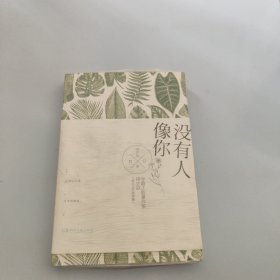 没有人像你【现货 精美塑封】