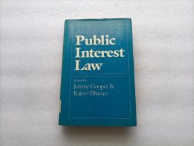Public Interest Law    精装本