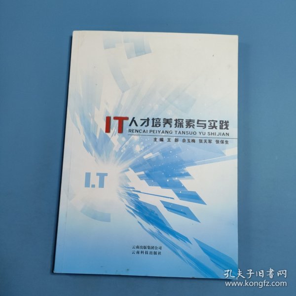 IT人才培养探索与实践