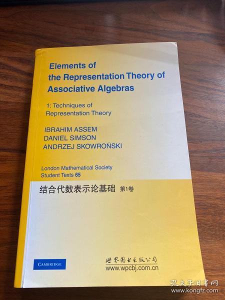 结合代数表示论基础(第1卷)
