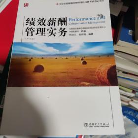 国家绩效薪酬管理师岗位技能考试指定用书：绩效薪酬管理实务