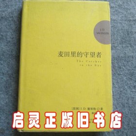 麦田里的守望者 纪念版