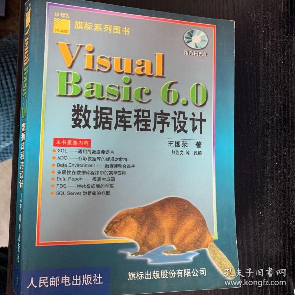 Visual Basic 6.0数据库程序设计