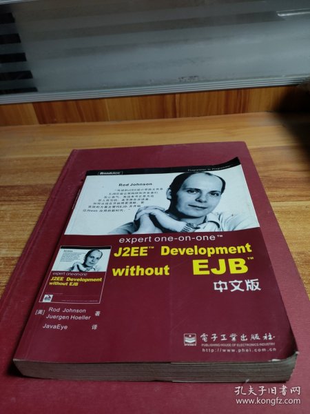 expert one-on-one J2EE Development without EJB 中文版