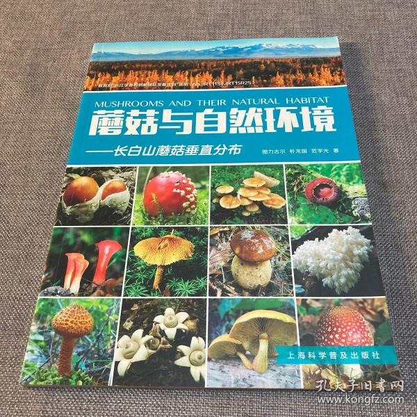 蘑菇与自然环境：长白山蘑菇垂直分布