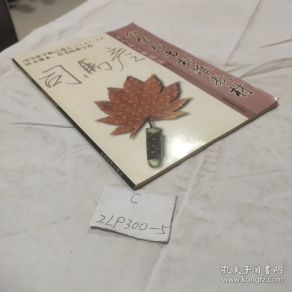 司马彦钢笔楷书标准教材