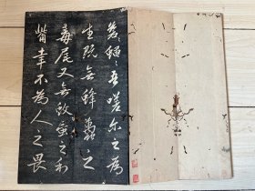 旧拓本 折帖一册 赵孟頫 子昂所书的《憎苍蝇赋》上下木护板 “苍蝇，吾嗟尔之为生！既无蜂虿之毒尾，又无蚊虻之利嘴。幸不为人之畏，胡不为人之喜？尔形至眇，尔欲易盈，杯盂残沥，砧几余腥，所希杪忽，过则难胜。苦何求而不足，乃终日而营营？逐气寻香，无处不到，顷刻而集，谁相告报？其在物也虽微，其为害也至”