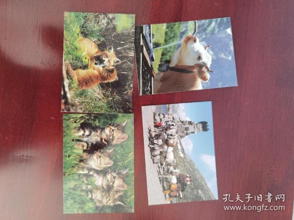 瑞士动物明信片